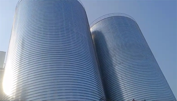 十月田镇2座混凝土高架卷板仓